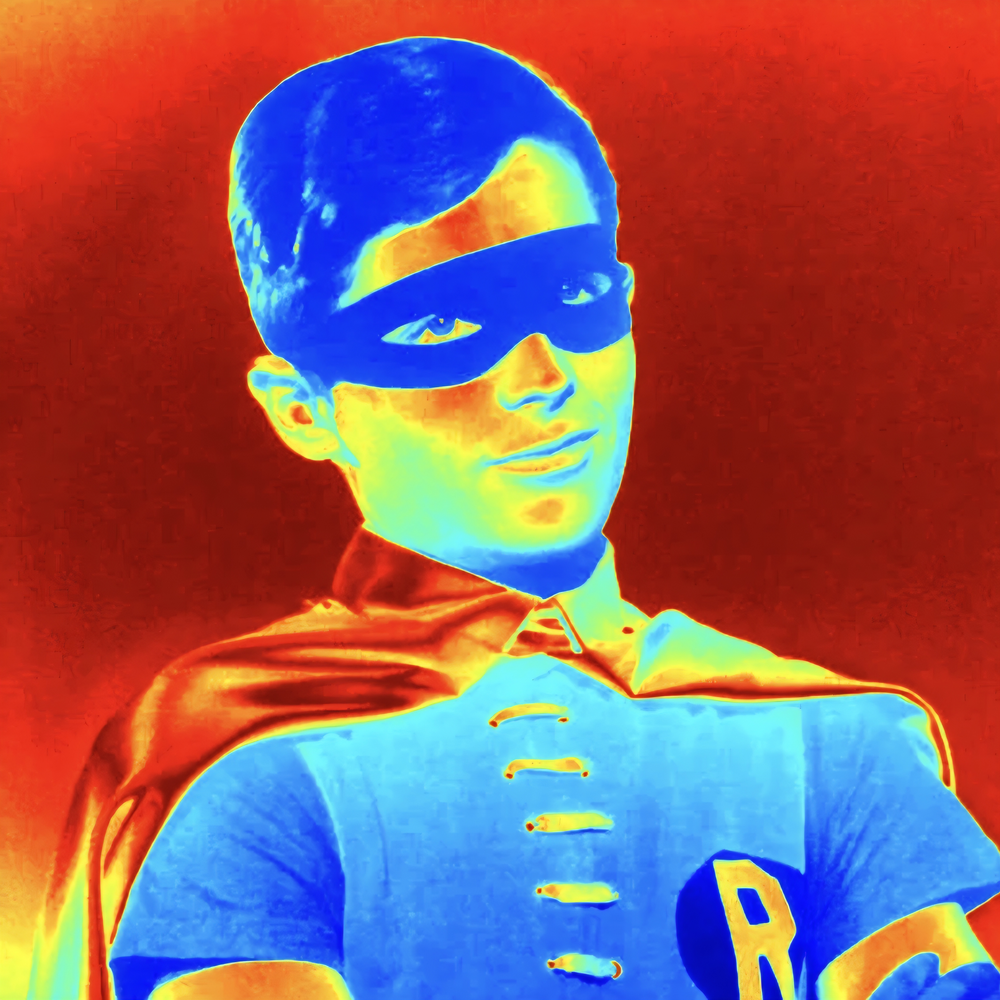 Fly Robin
